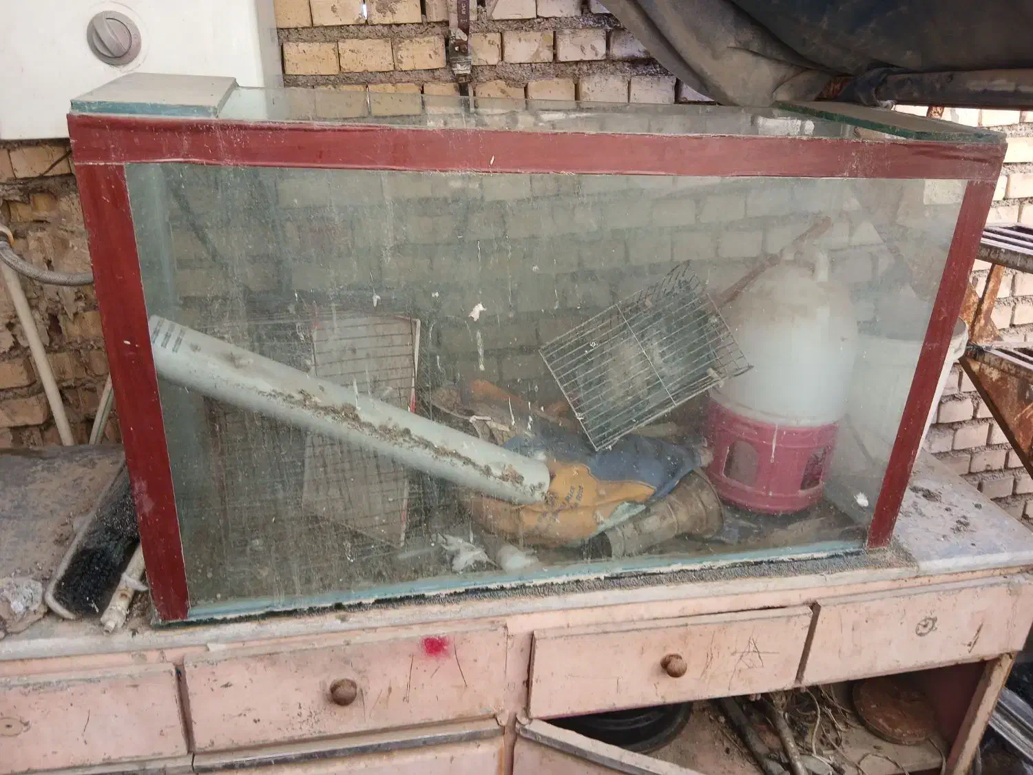 آکواریوم|ماهی|خرمشهر, |دیوار