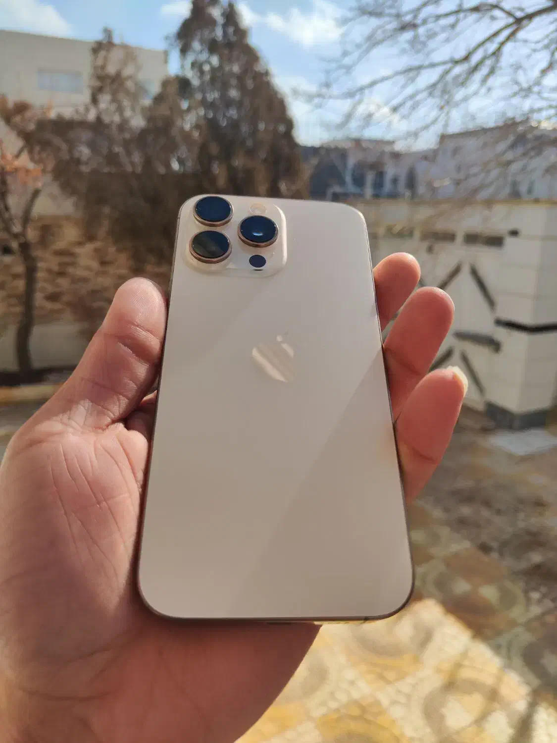 آیفون 16پرو مکس 256گیگ zaa|موبایل|فامنین, |دیوار