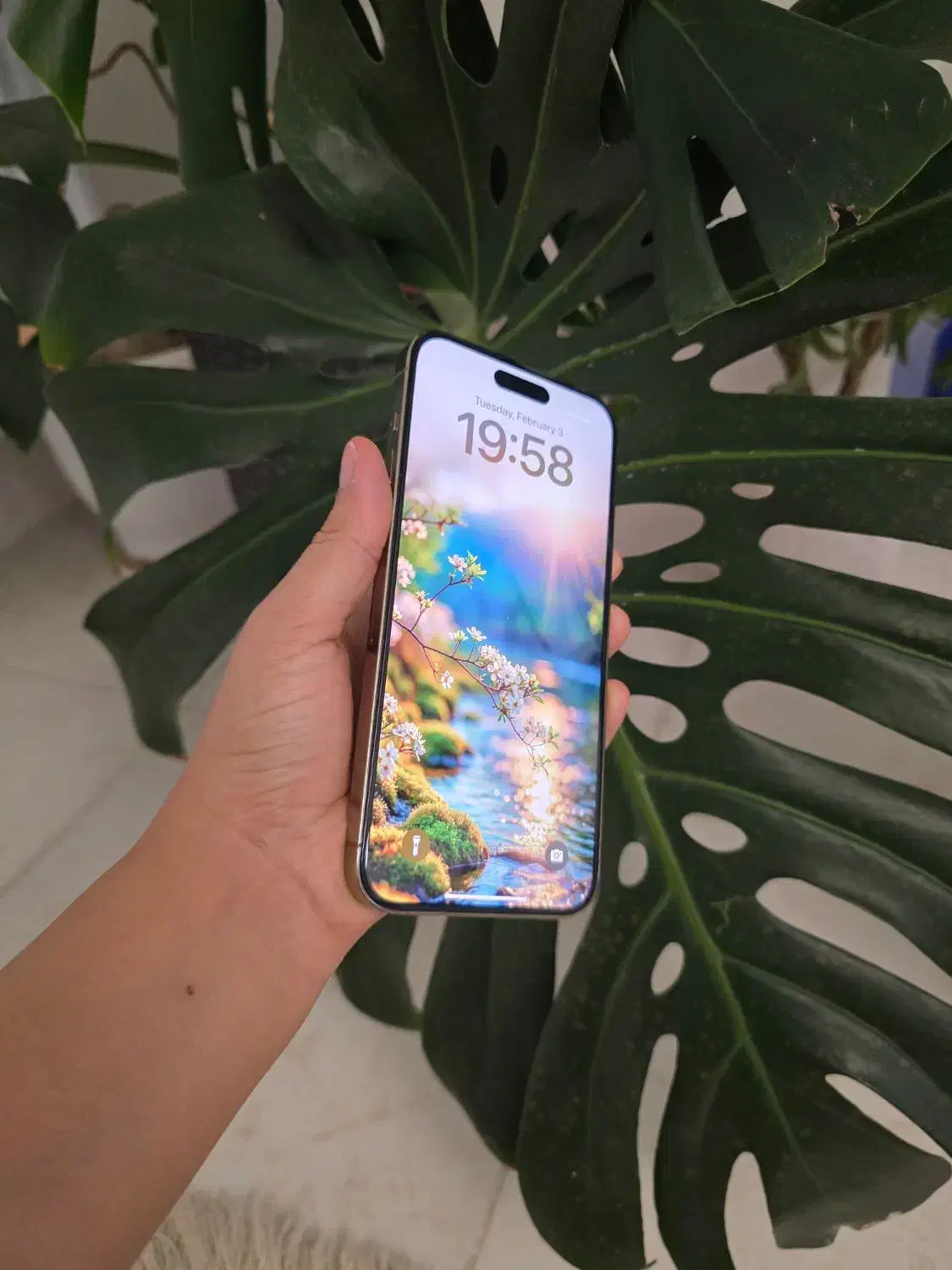 iphone 14 promax|موبایل|تبریز, |دیوار