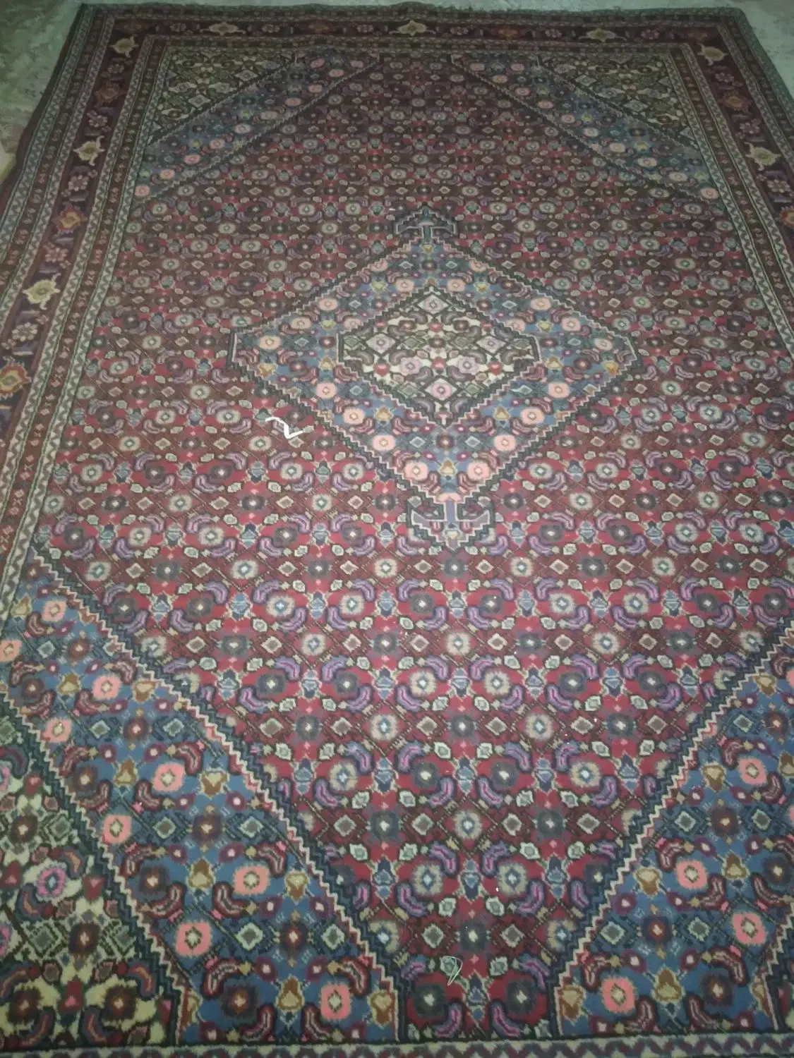 فرش|فرش|تهران, بوستان بعثت (باغ آذری)|دیوار