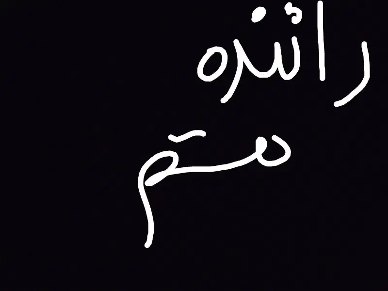 به عکس توجه کنید|فعالیت داوطلبانه|خاش, |دیوار