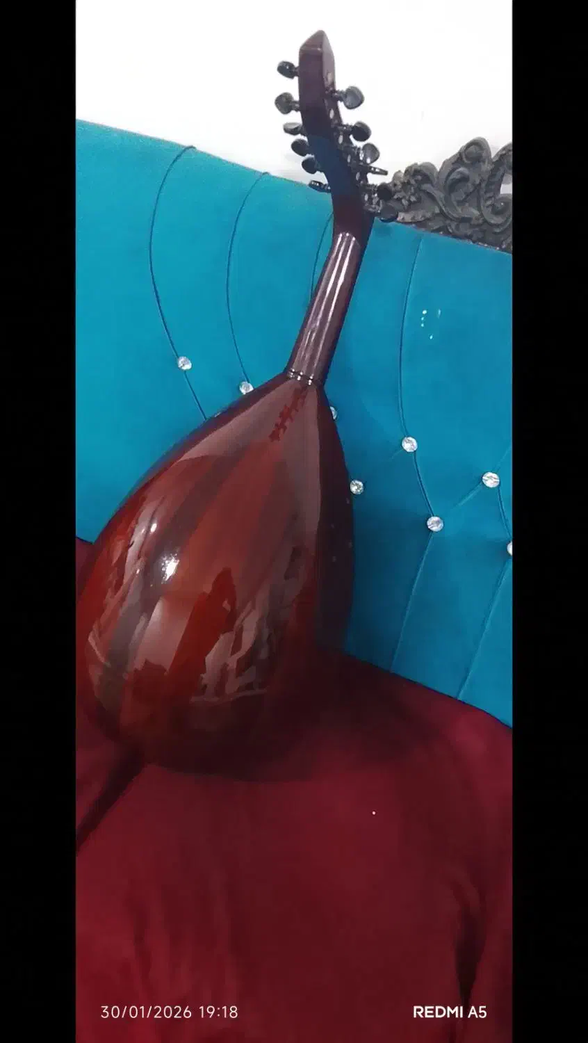 عودمصر|سازهای سنتی|بندرعباس, |دیوار