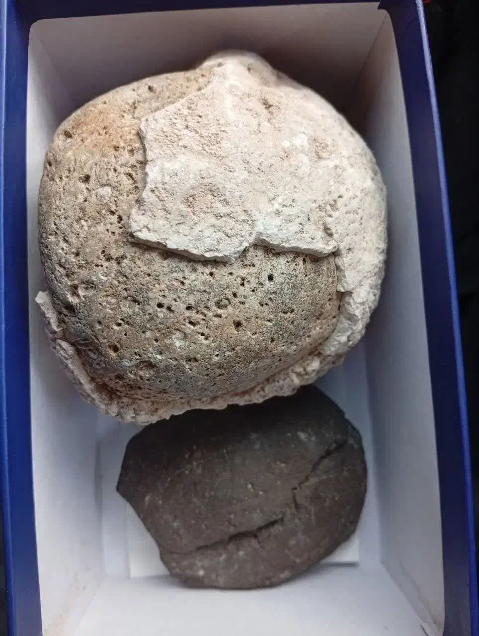 سنگ  فسیل|جواهرات|پرند, فاز ۴|دیوار