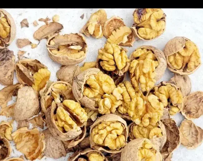 گردو درجه یک وشنوه|خوردنی و آشامیدنی|قم, انسجام|دیوار