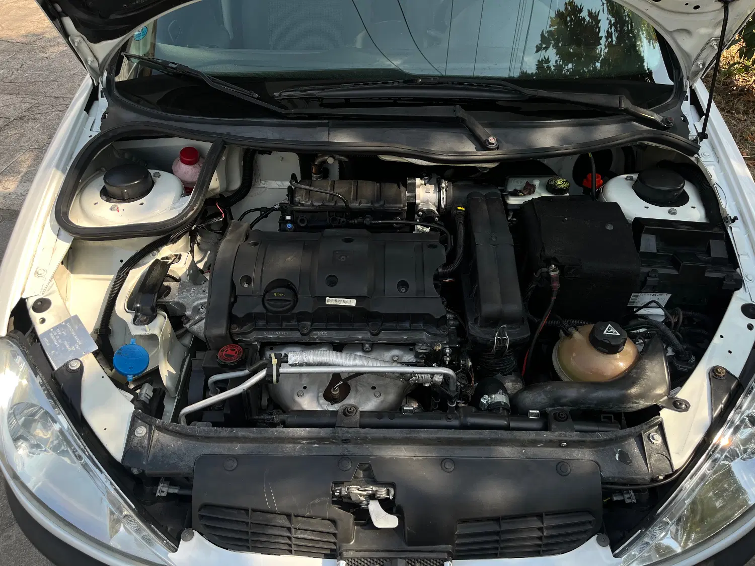 206 SD V8|خودرو سواری و وانت|آستانه اشرفیه, |دیوار