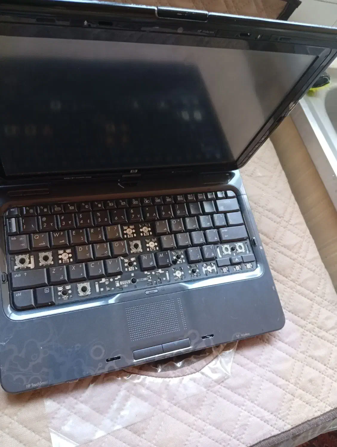 لپ تاپ|رایانه همراه|کاشان, باغچه فیض|دیوار