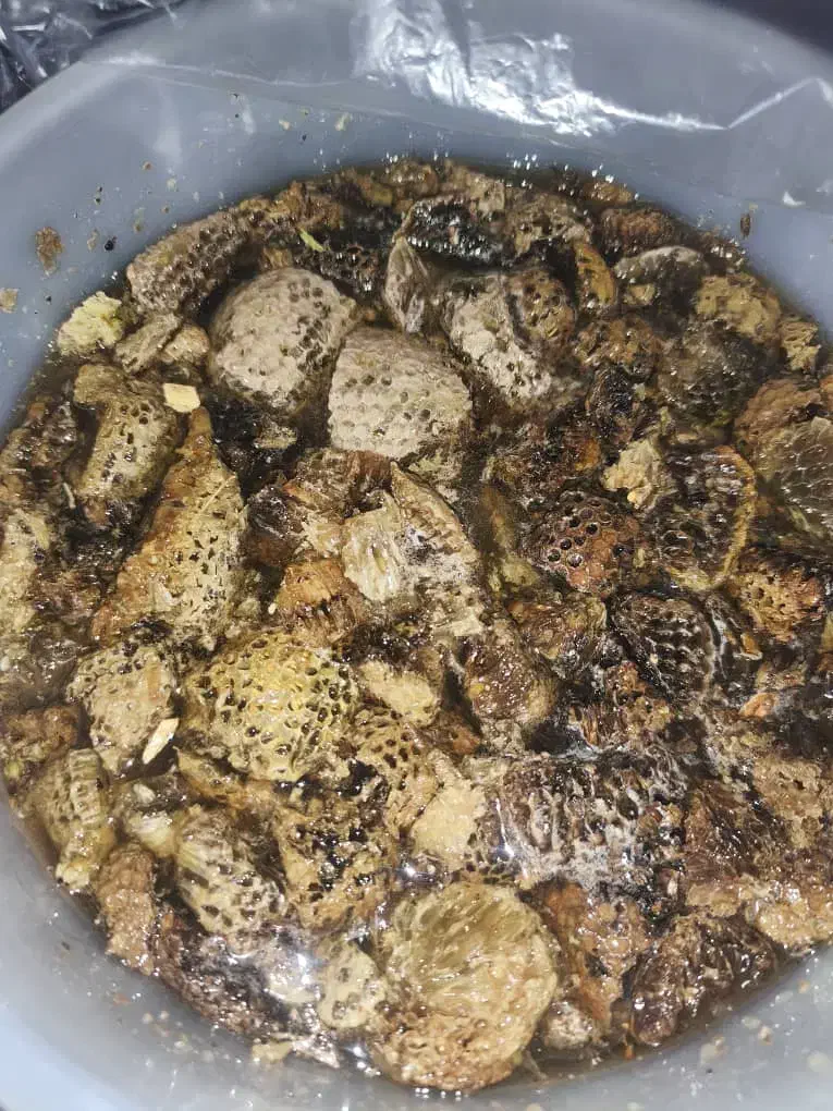 عسل وحشی|خوردنی و آشامیدنی|داراب, |دیوار