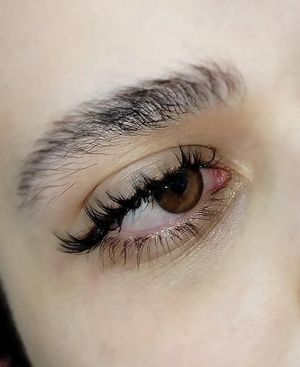 مدل مژه|خدمات آرایشگری و زیبایی|قرچک, مهدیه|دیوار