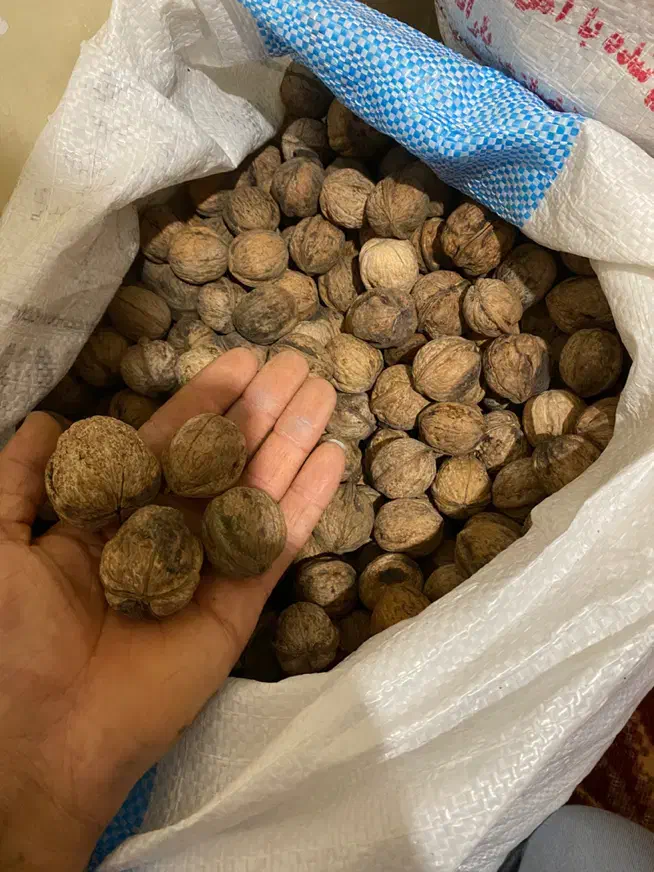 گردو لرستان|خوردنی و آشامیدنی|پاکدشت, خاتون آباد|دیوار