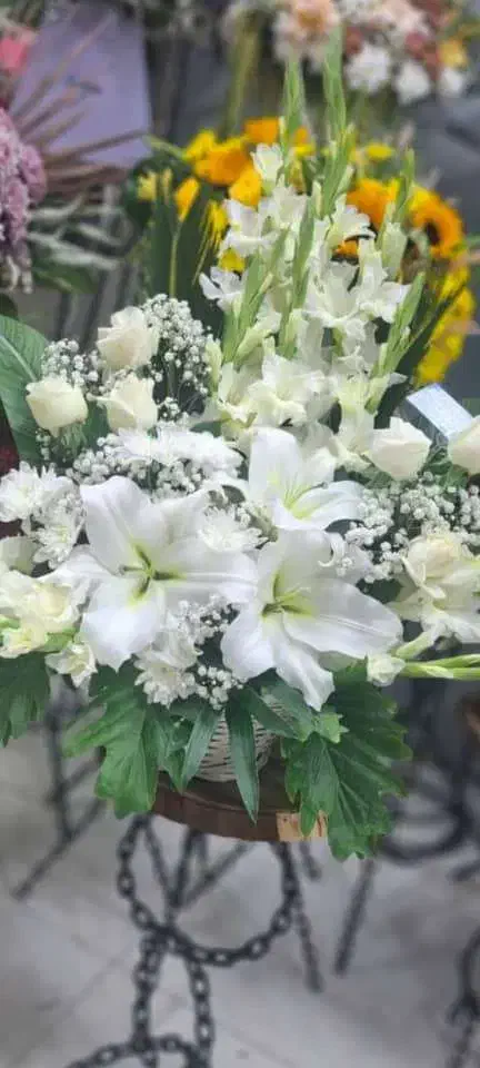 بلیط کنسرت عرفان طهماسبی|بلیت کنسرت|شیراز, ملاصدرا|دیوار