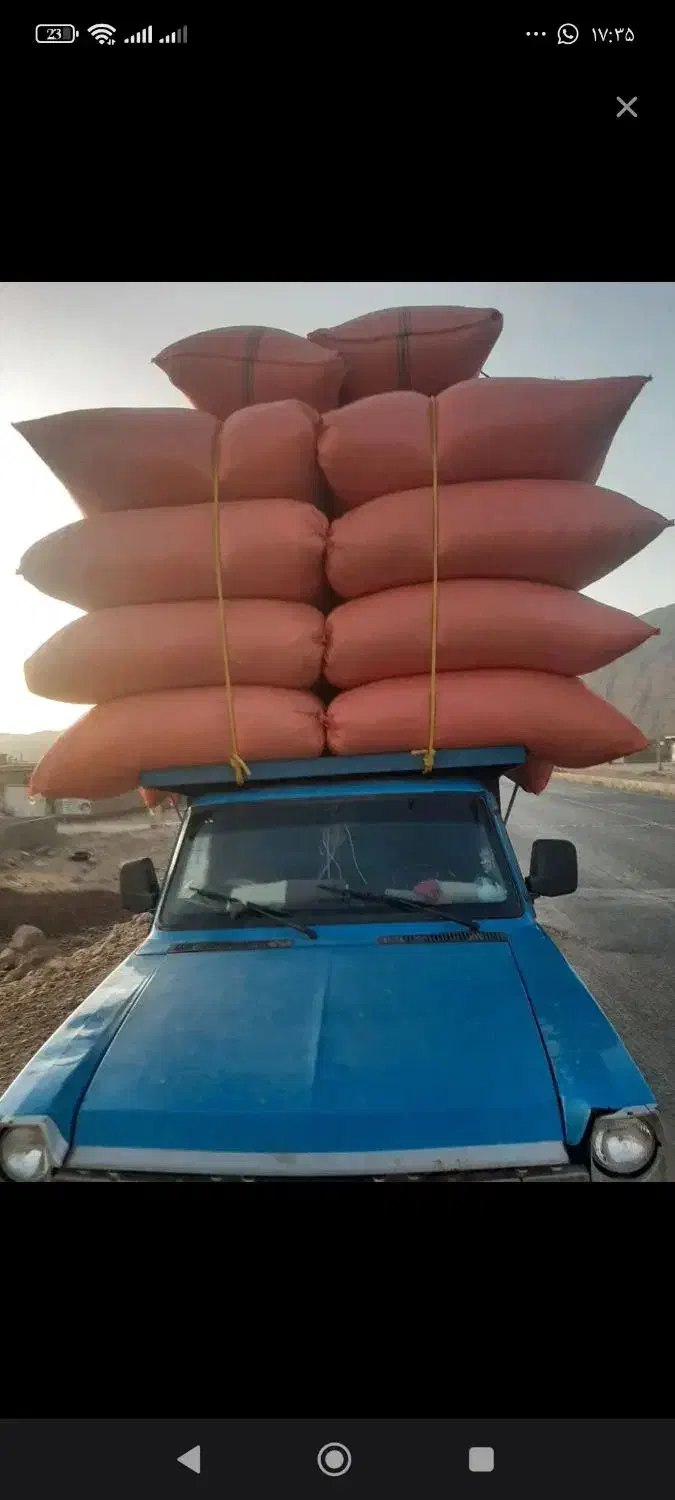 فروش کاه گندم|عمده‌فروشی|سیرجان, |دیوار