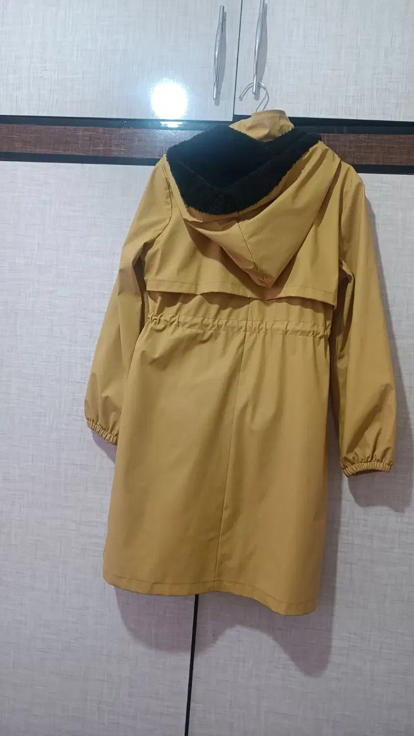 بارونی|لباس|زبرخان, |دیوار