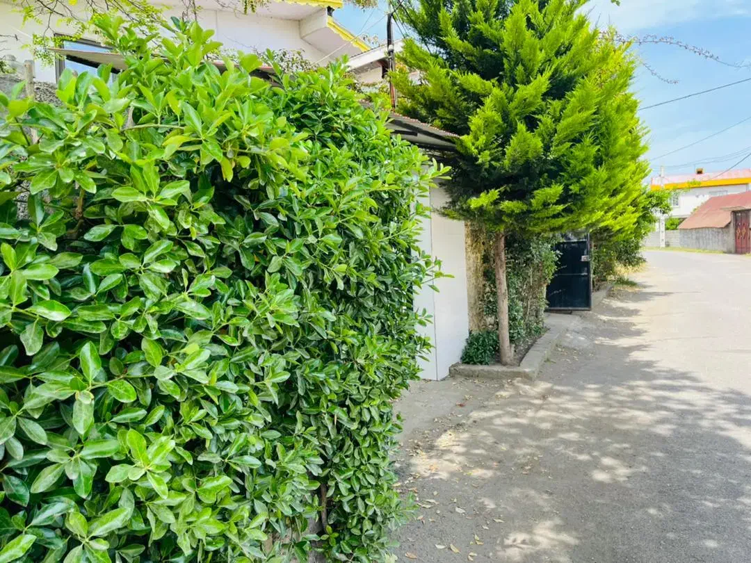 فروش ویلا در منطقه ساحلی|فروش خانه و ویلا|لنگرود, |دیوار