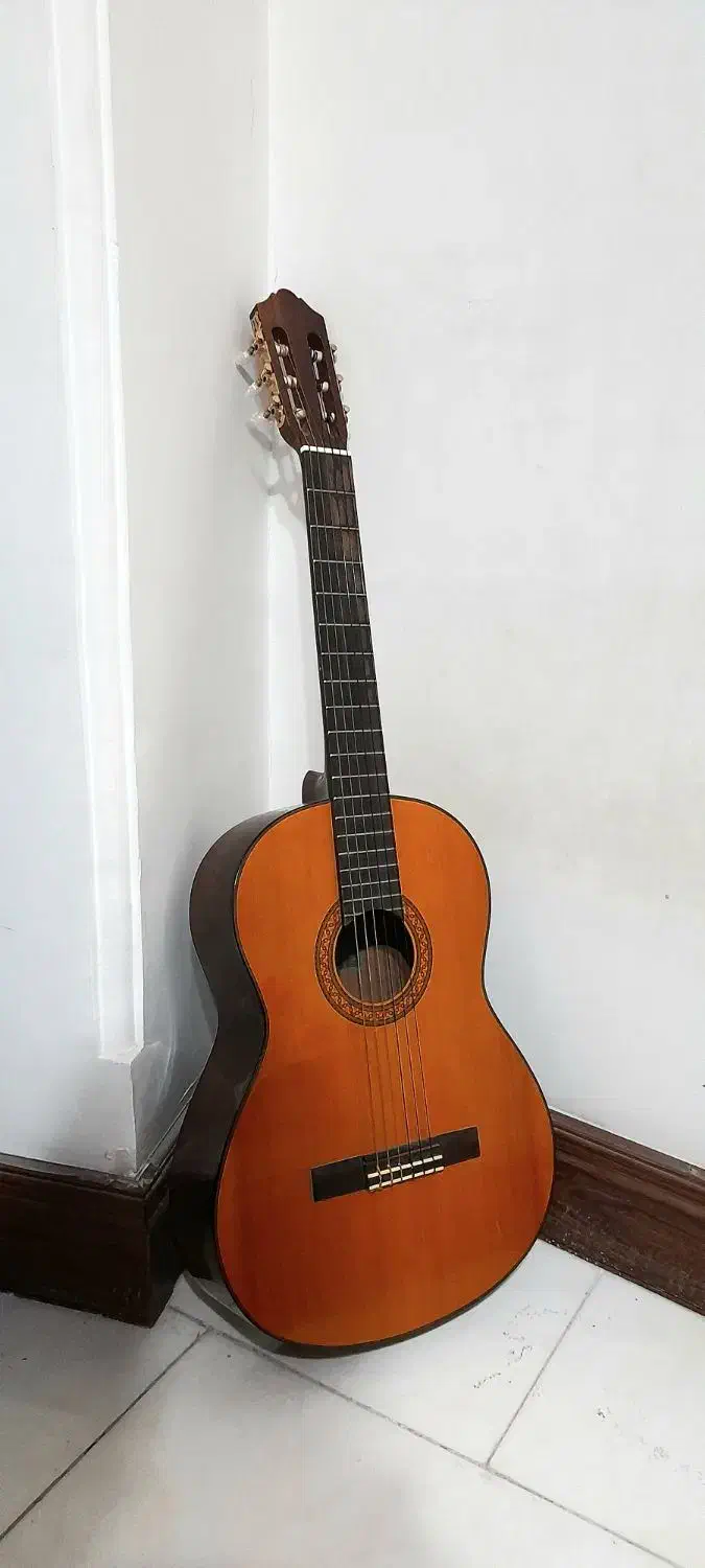 فروش فوری گیتار|گیتار، بیس، امپلیفایر|قائم‌شهر, |دیوار