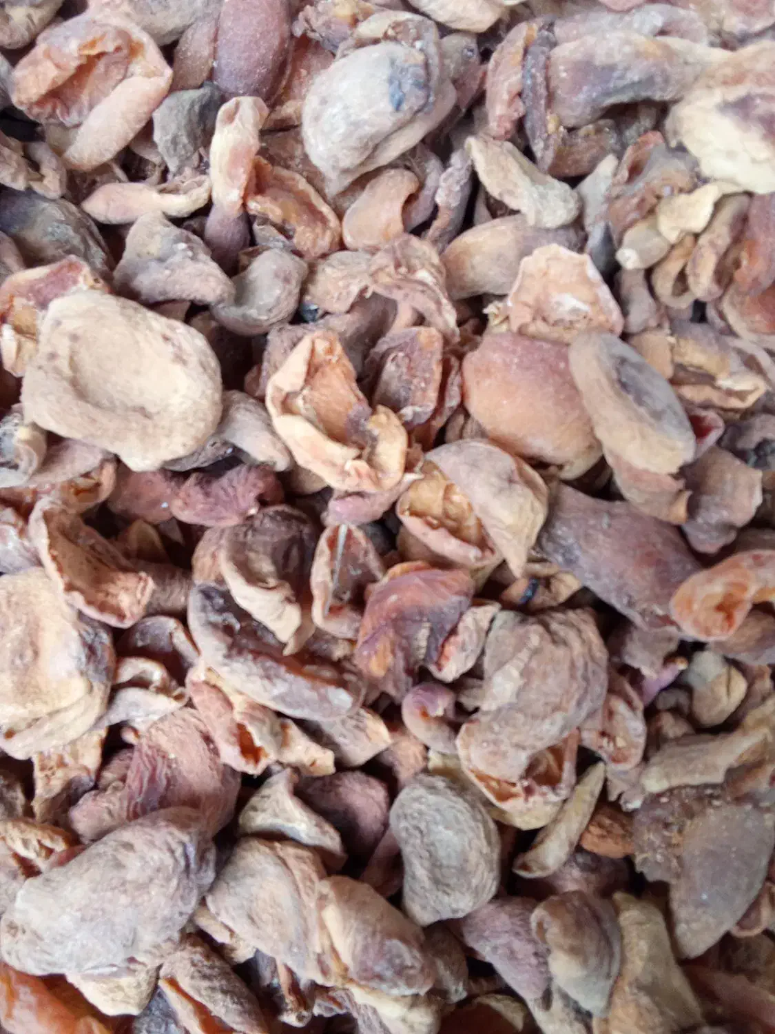 برگه زردآلو یک دست ترش و ملس|خوردنی و آشامیدنی|قم, حاج زینل|دیوار