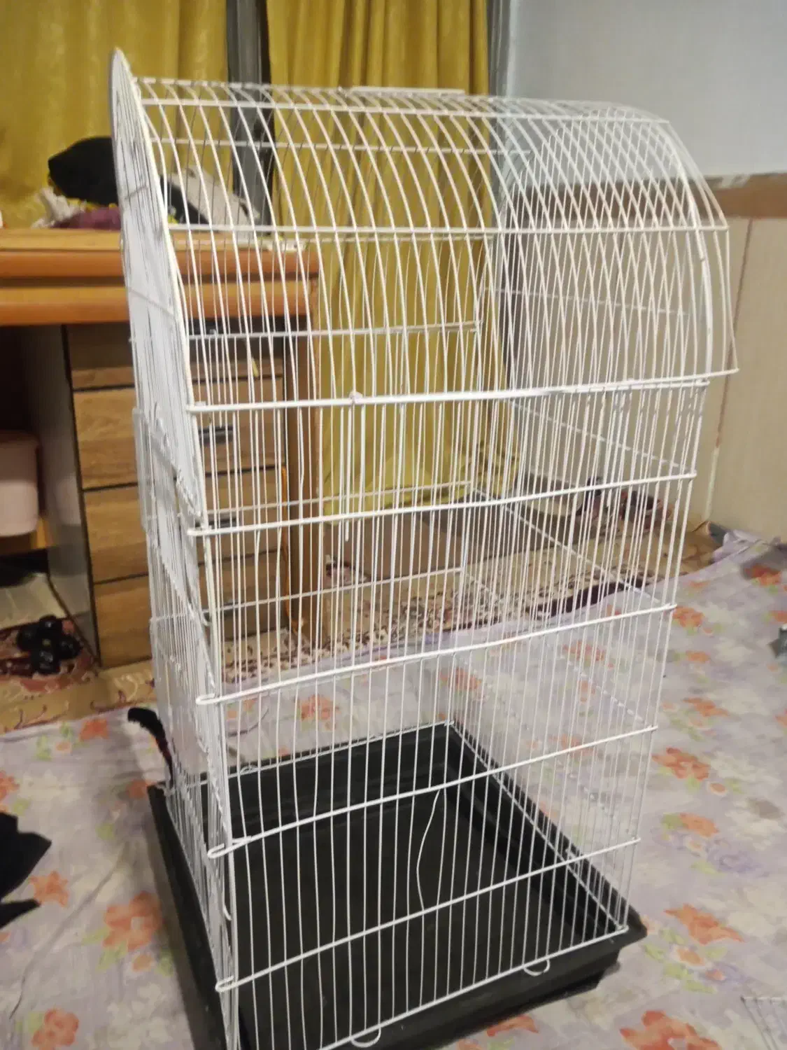 قفس پرنده|لوازم جانبی حیوانات|الوند, |دیوار