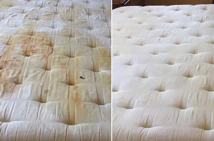 مبل شویی با دستگاه در منزل،مبل‌شویی پرند|خدمات نظافت|پرند, فاز ۲|دیوار