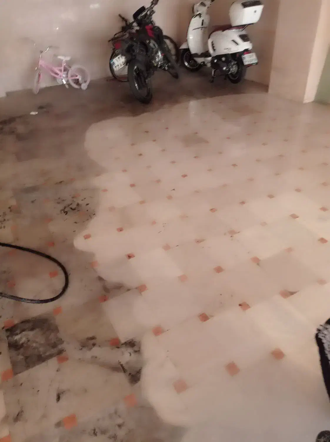 ساب زنی کفسابی|خدمات نظافت|نسیم‌شهر, |دیوار