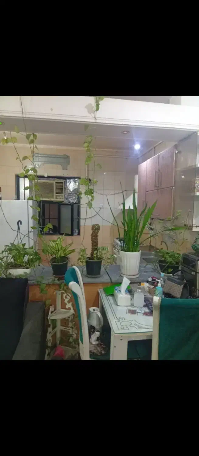 فروش همکف پشت کاردانش|فروش آپارتمان|بهبهان, |دیوار