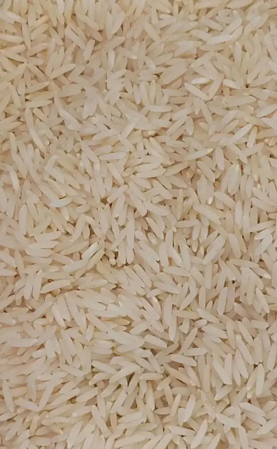 برنج هاشمی درجه یک|خوردنی و آشامیدنی|رشت, سعدی (تختی)|دیوار