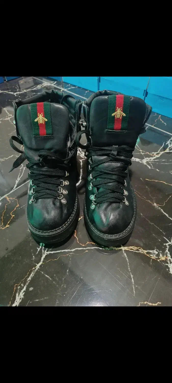 کفش|کیف، کفش، کمربند|مشگین شهر, |دیوار