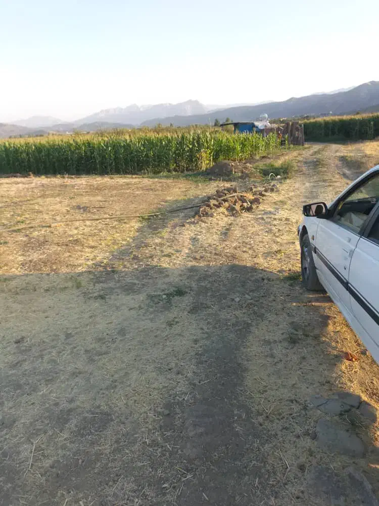 زمین کشاورزی نی|فروش دفتر صنعتی، کشاورزی، تجاری|مریوان, |دیوار