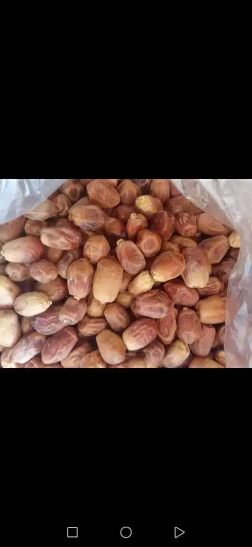 خرمای زاهدی درجه یک|خوردنی و آشامیدنی|قائم‌شهر, |دیوار
