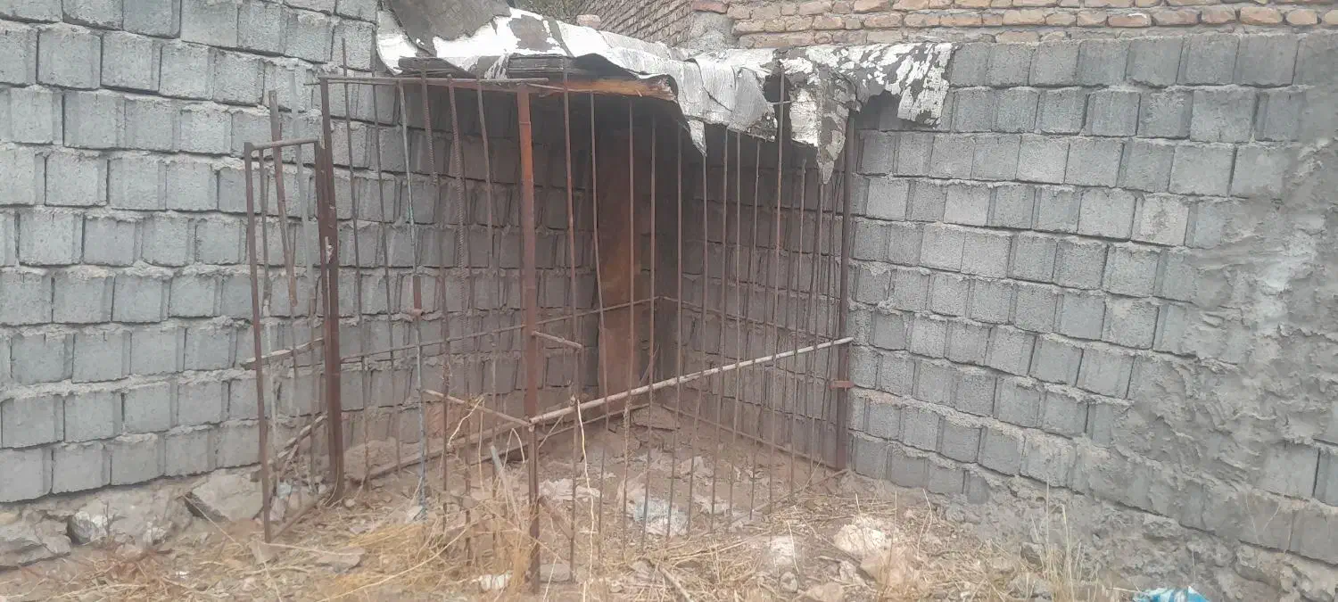 قفس سگ بزرگ|لوازم جانبی حیوانات|خوی, |دیوار