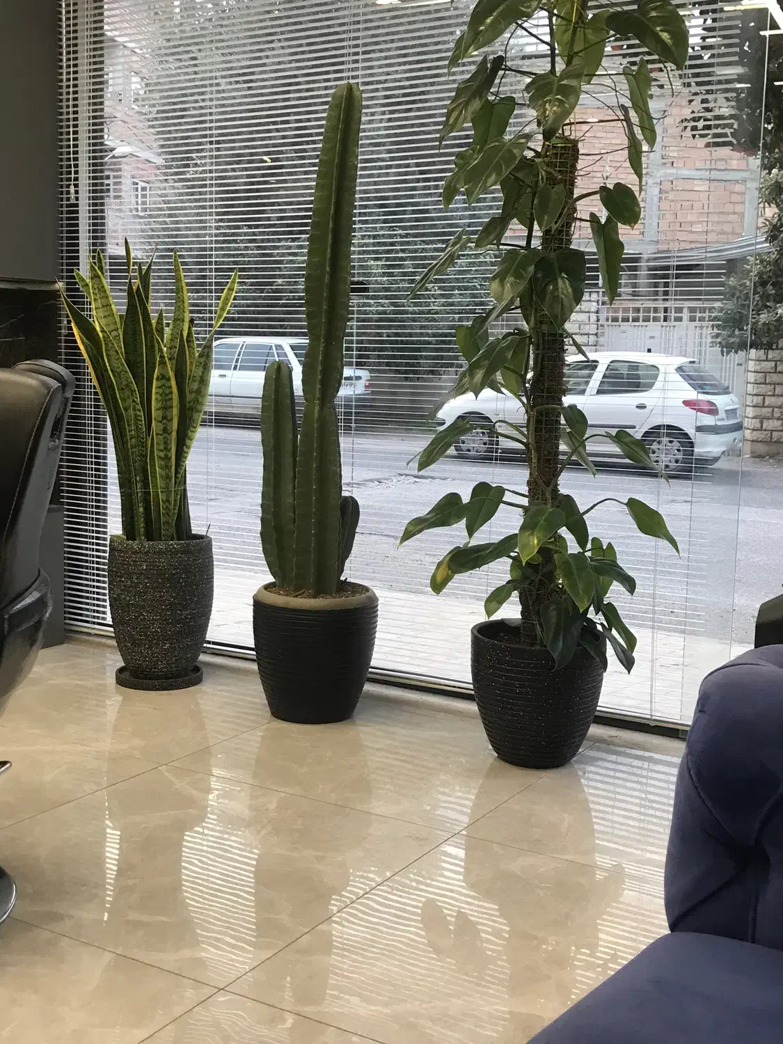 نیازمند ب یک ارایشگر اقا با سابقه ۳ سال کاری|استخدام درمانی، زیبایی، بهداشتی|ساری, |دیوار