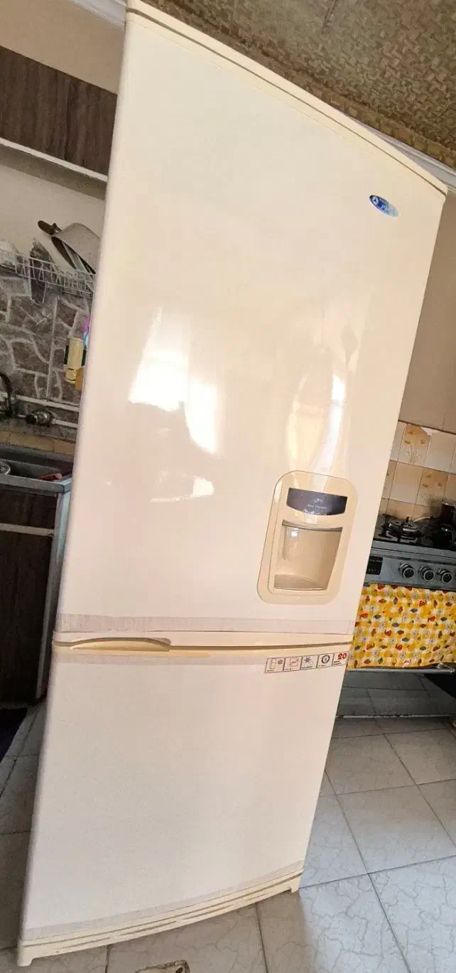 یخچال فریزر فیلور بدون ذره ای پوسیدگی|یخچال و فریزر|رشت, پارک شهر|دیوار