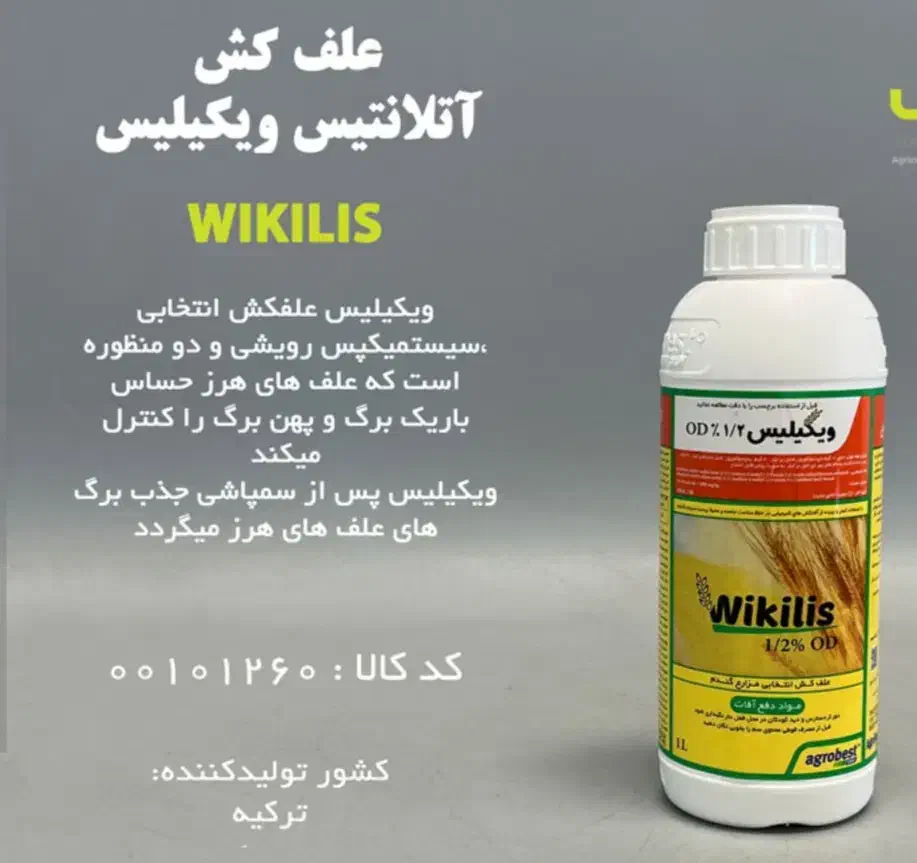 سم ویکیلیس،نوارتیپ|خدمات باغبانی و درختکاری|مرودشت, فیروزی|دیوار