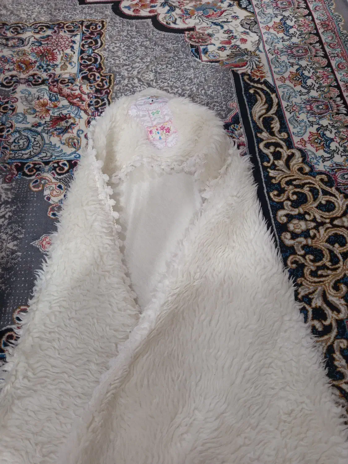 کریرپتودورپیچ نو|کالسکه و لوازم جانبی|تبریز, |دیوار