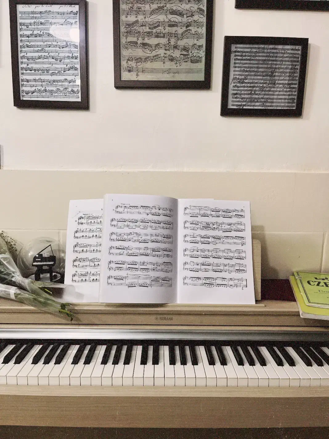 آموزش تخصصی پیانو در مهرشهر خانه پیانو سُل|خدمات آموزشی|کرج, فاز ۳ مهرشهر|دیوار