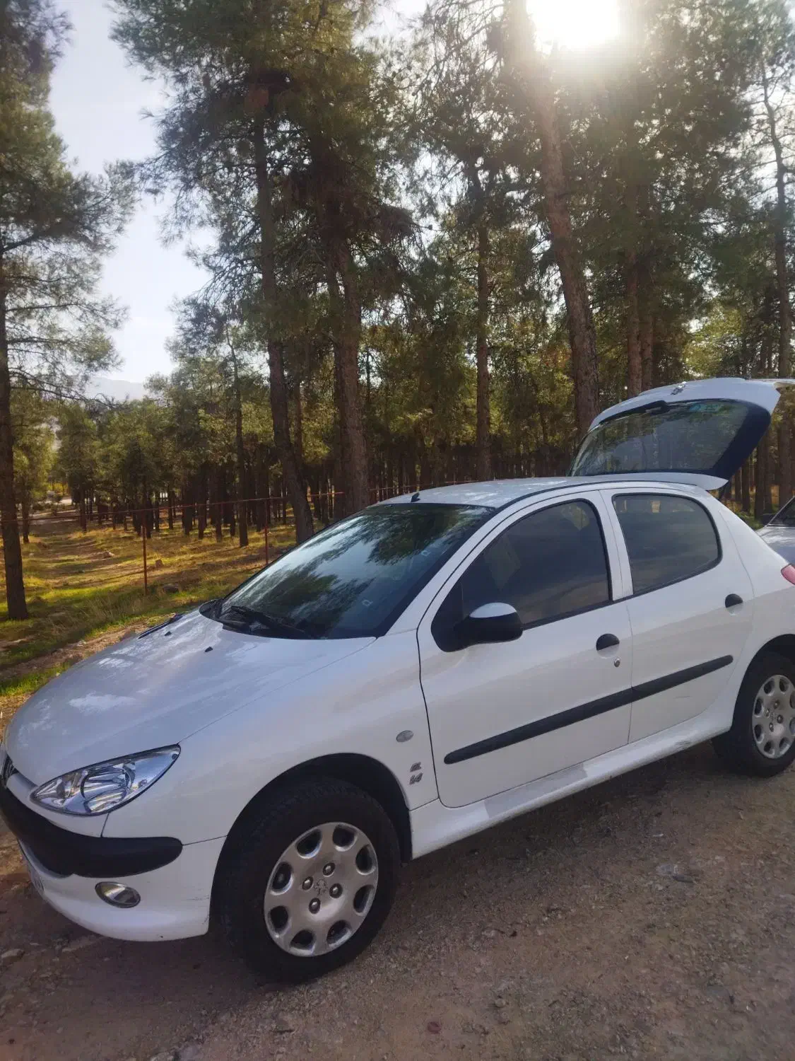 ۲۰۶ بدون صندوق تیپ ۲ مدل ۹۸ تک تک|خودرو سواری و وانت|شیراز, دکتر حسابی|دیوار