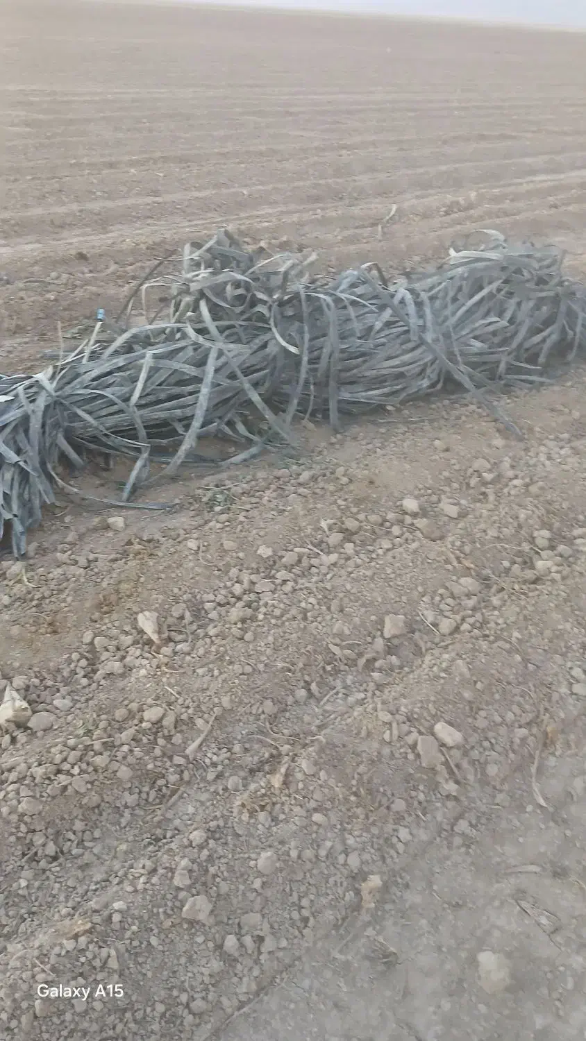 ضایعات خردارم|خدمات پیشه و مهارت|گلبهار, شهر جدید گلبهار|دیوار