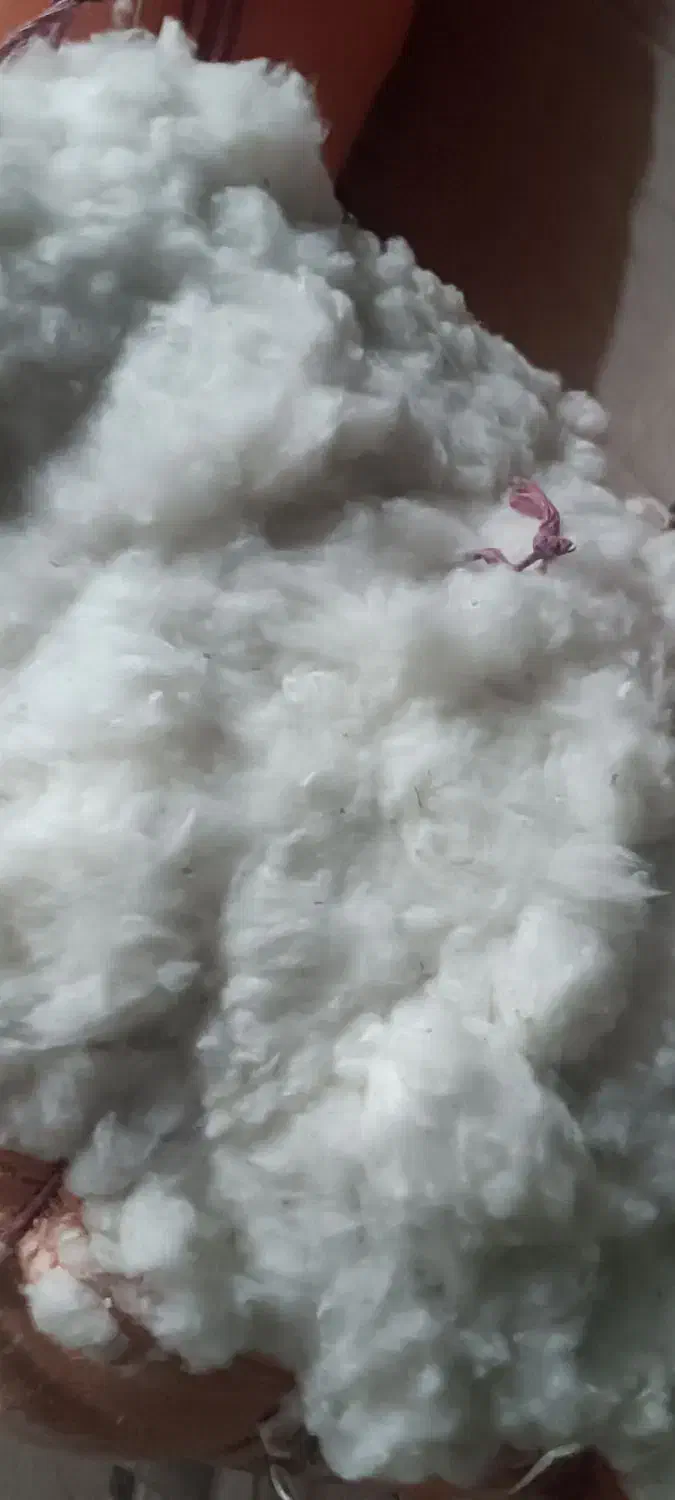 فروش تشک پنبه ای و پنبه نو|رختخواب، بالش، پتو|داراب, |دیوار