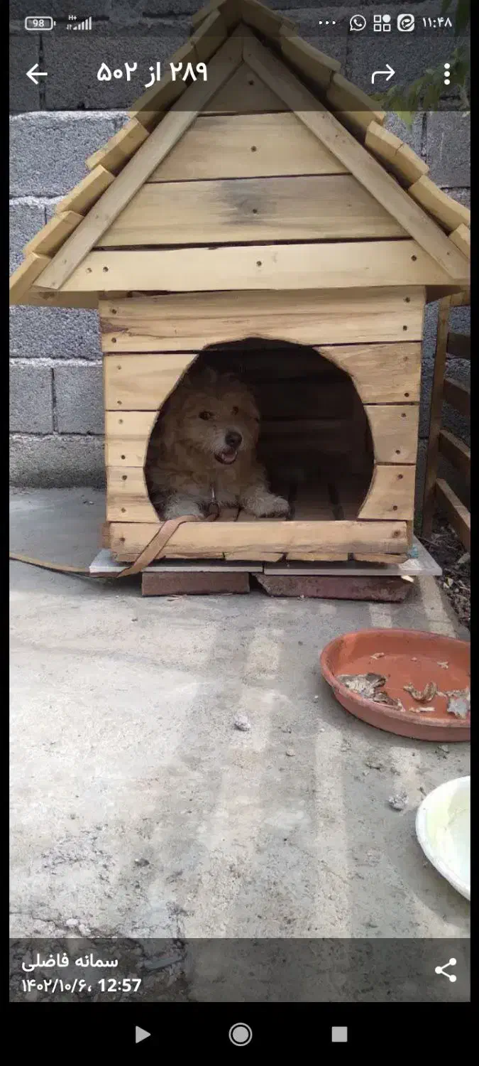 لانه سگ|لوازم جانبی حیوانات|شیرود, |دیوار