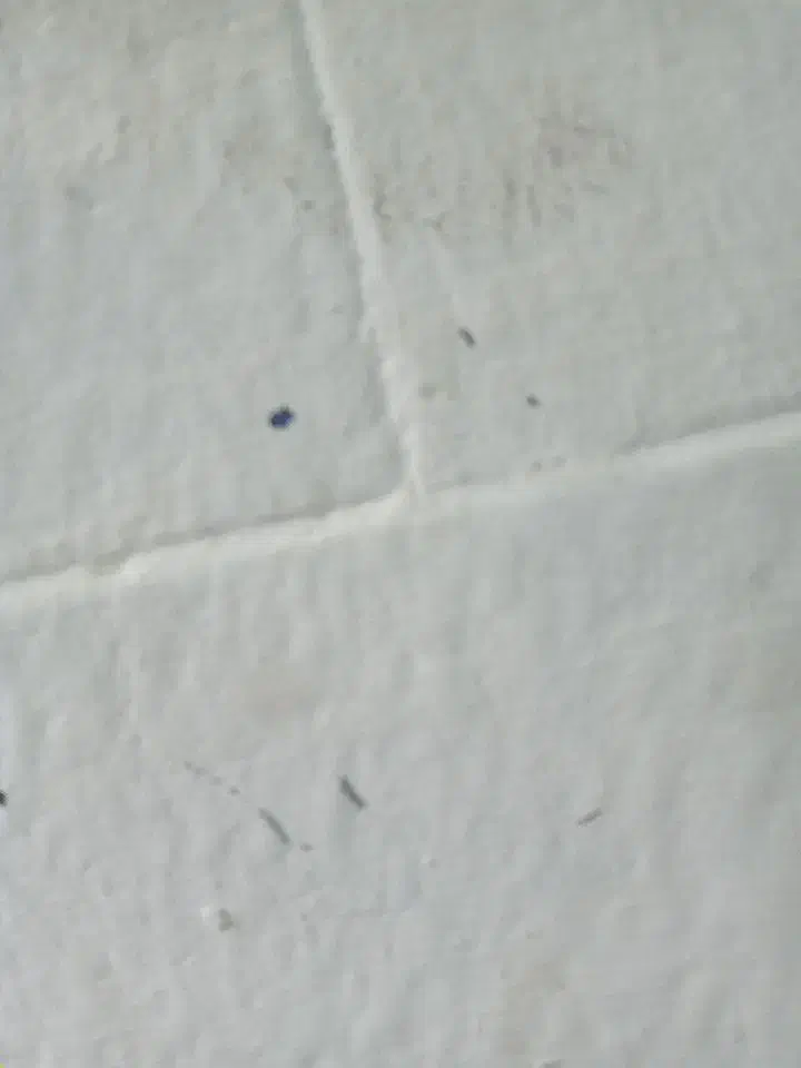 زمین فاز ۳|فروش زمین و ملک کلنگی|نورآباد, |دیوار