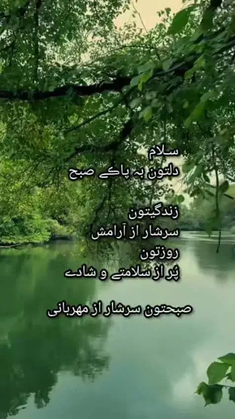 داوطلبانه فقط خانمها|فعالیت داوطلبانه|شیراز, زرهی|دیوار