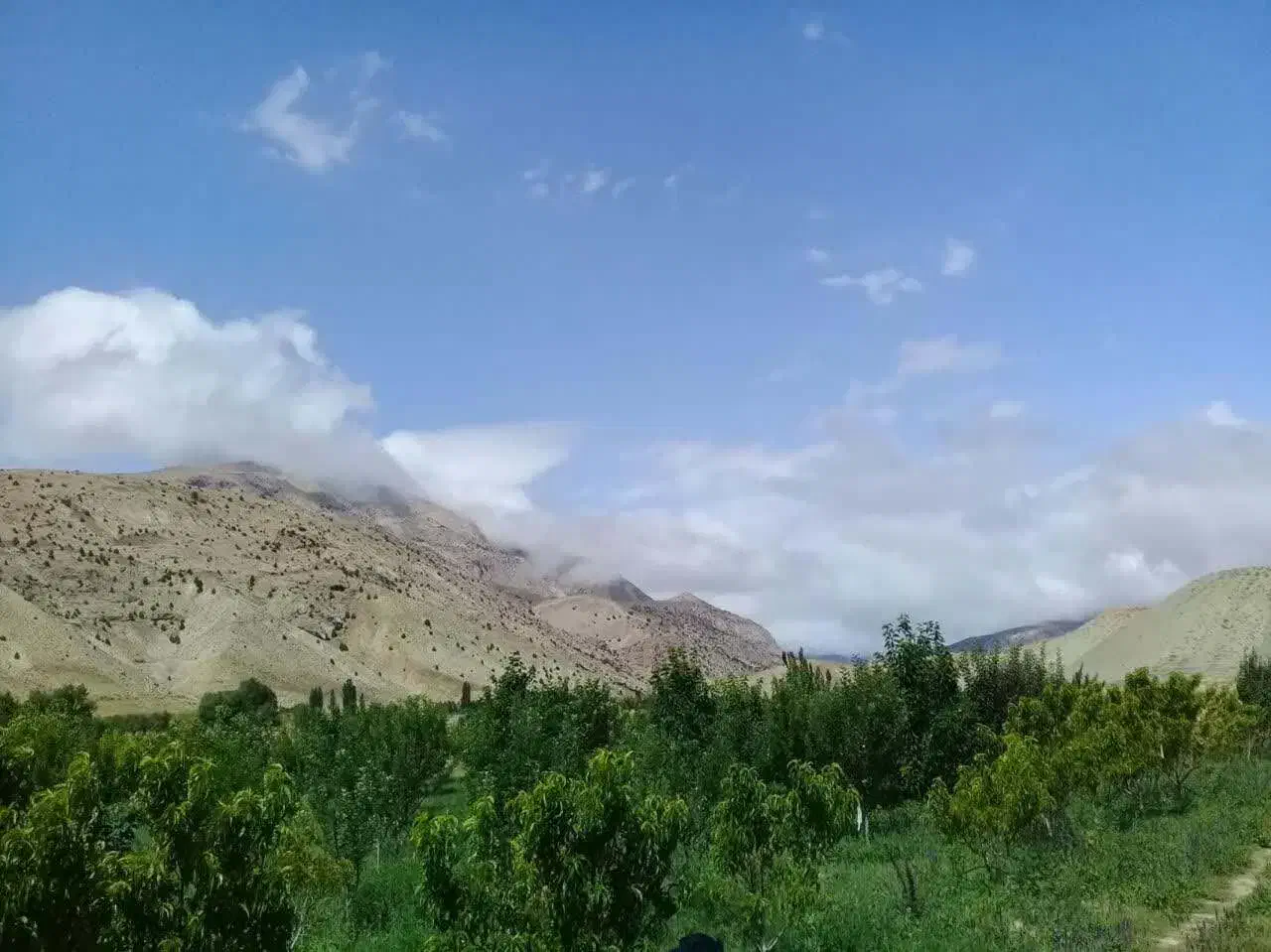 باغ پشت شهمیرزاد منطقه آسوران|فروش زمین و ملک کلنگی|شهمیرزاد, |دیوار