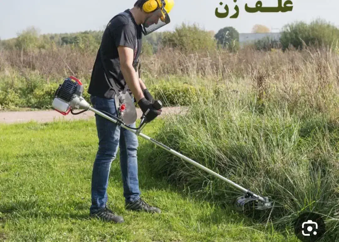 علف زنی و بریدن درخت|خدمات باغبانی و درختکاری|دزفول, |دیوار