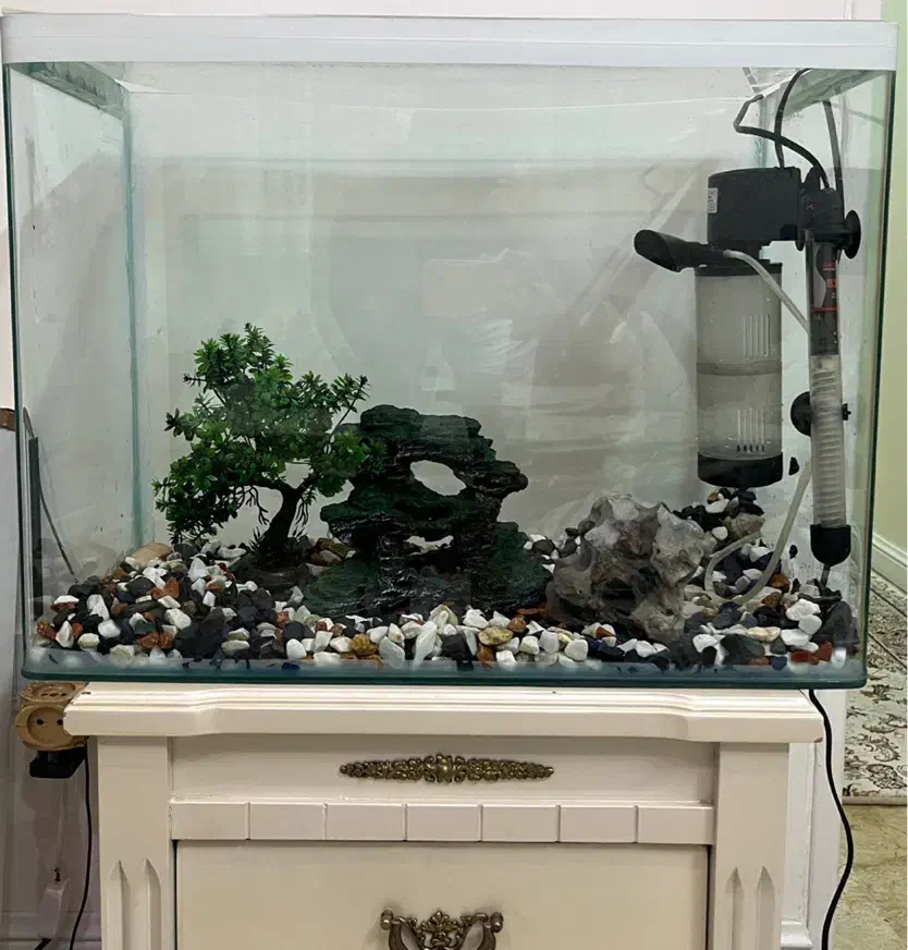 آکواریوم شیشه خم/تصفیه استوانه ای/بخاری/سنگ/لامپ|ماهی|تهران, مروارید شهر|دیوار