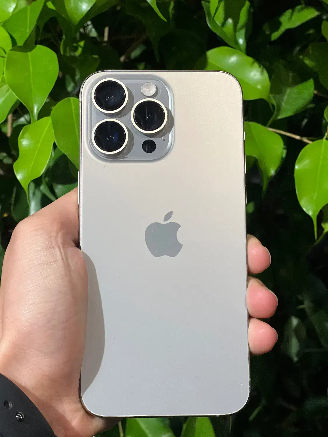 15promax/16promax|موبایل|لنگرود, |دیوار