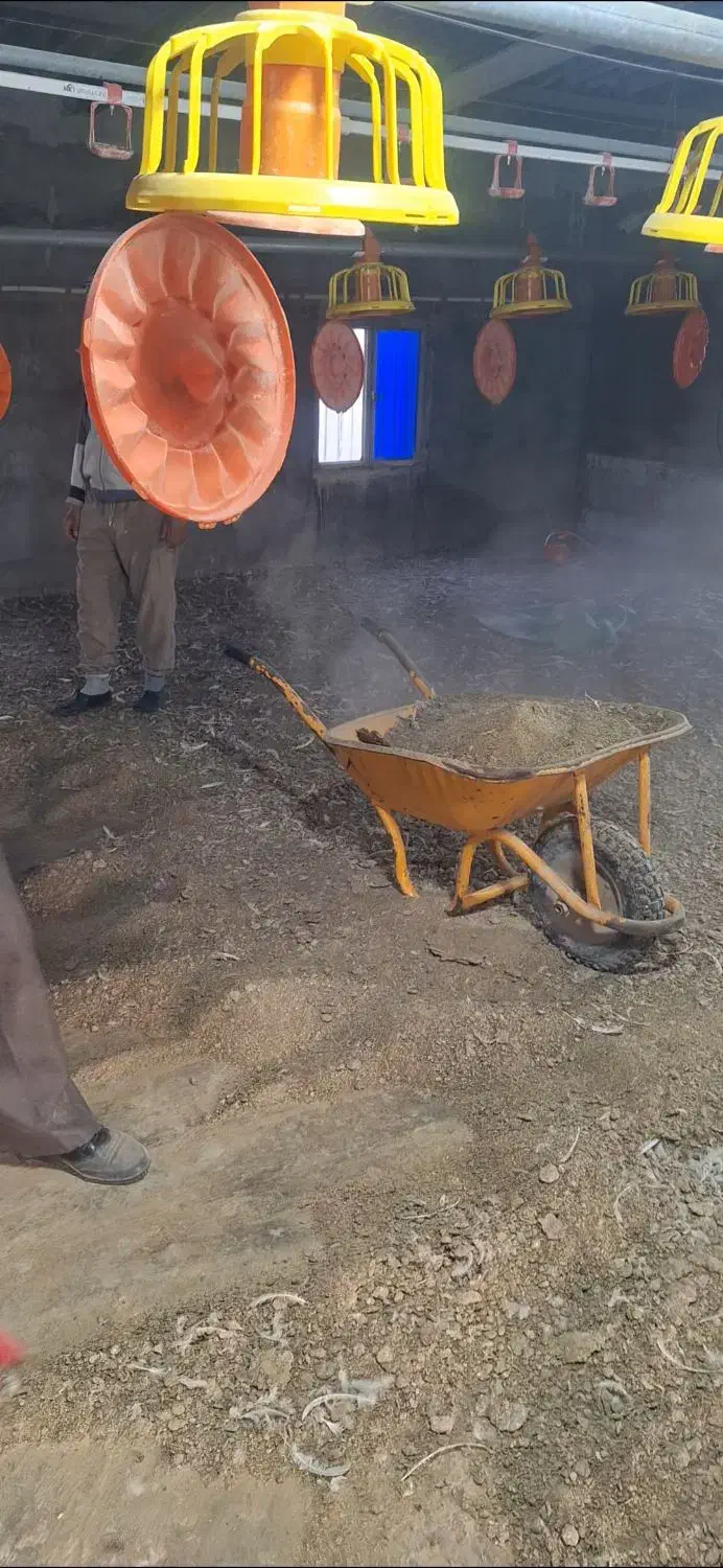 کود مرغی|خدمات باغبانی و درختکاری|رامشیر, |دیوار