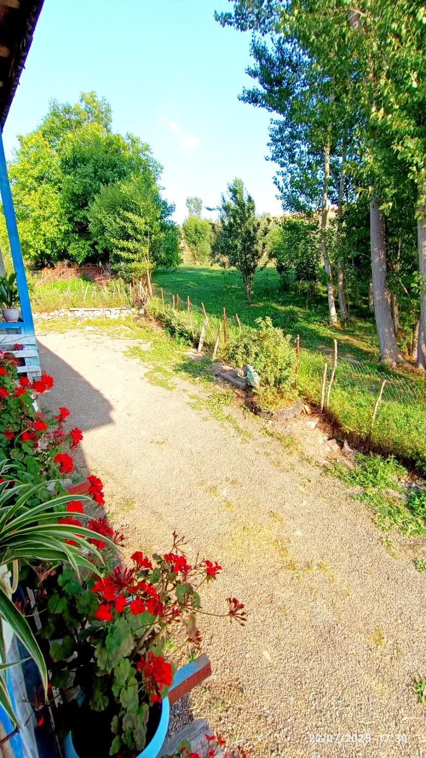 اجاره اقامتگاه سنتی دیلمان میکال|اجارهٔ کوتاه‌مدت ویلا و باغ|دیلمان, |دیوار