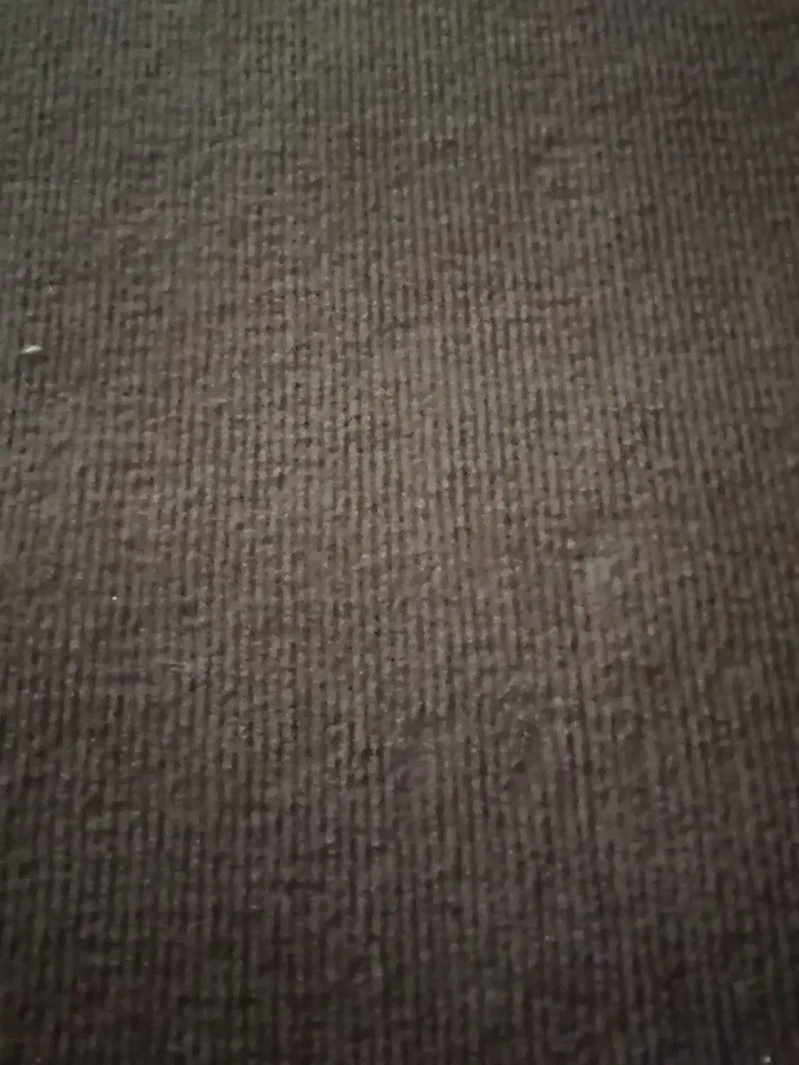 موکت سالم بدون پرُز و تمیز|موکت|سنندج, |دیوار