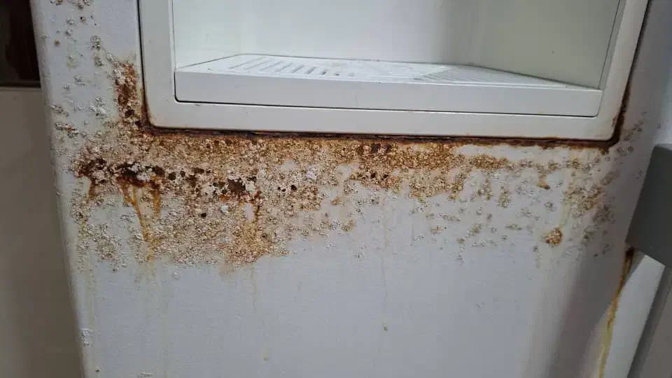 اجرای پوسیدگی وتحغیررنگ درمحل شما|خدمات پیشه و مهارت|محمدشهر, شهرک پیام (مهرالبرز)|دیوار