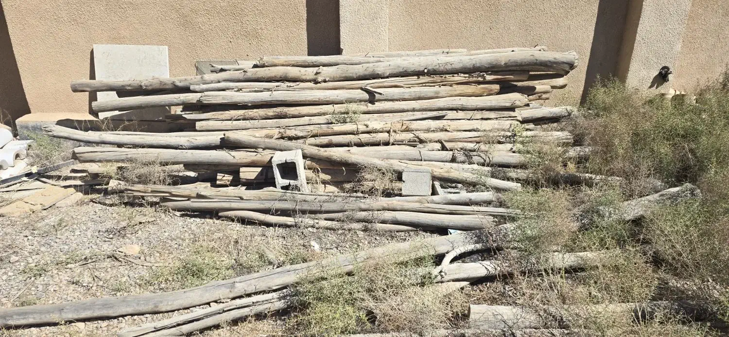 چوب|خدمات باغبانی و درختکاری|آباده, |دیوار