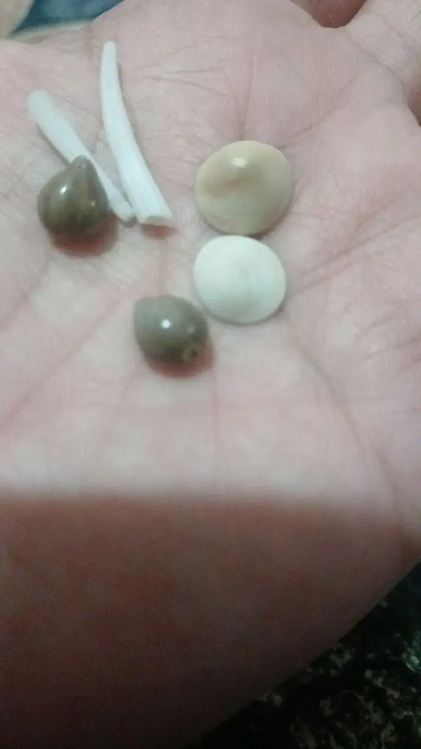 مهره فروشی|جواهرات|یاسوج, |دیوار