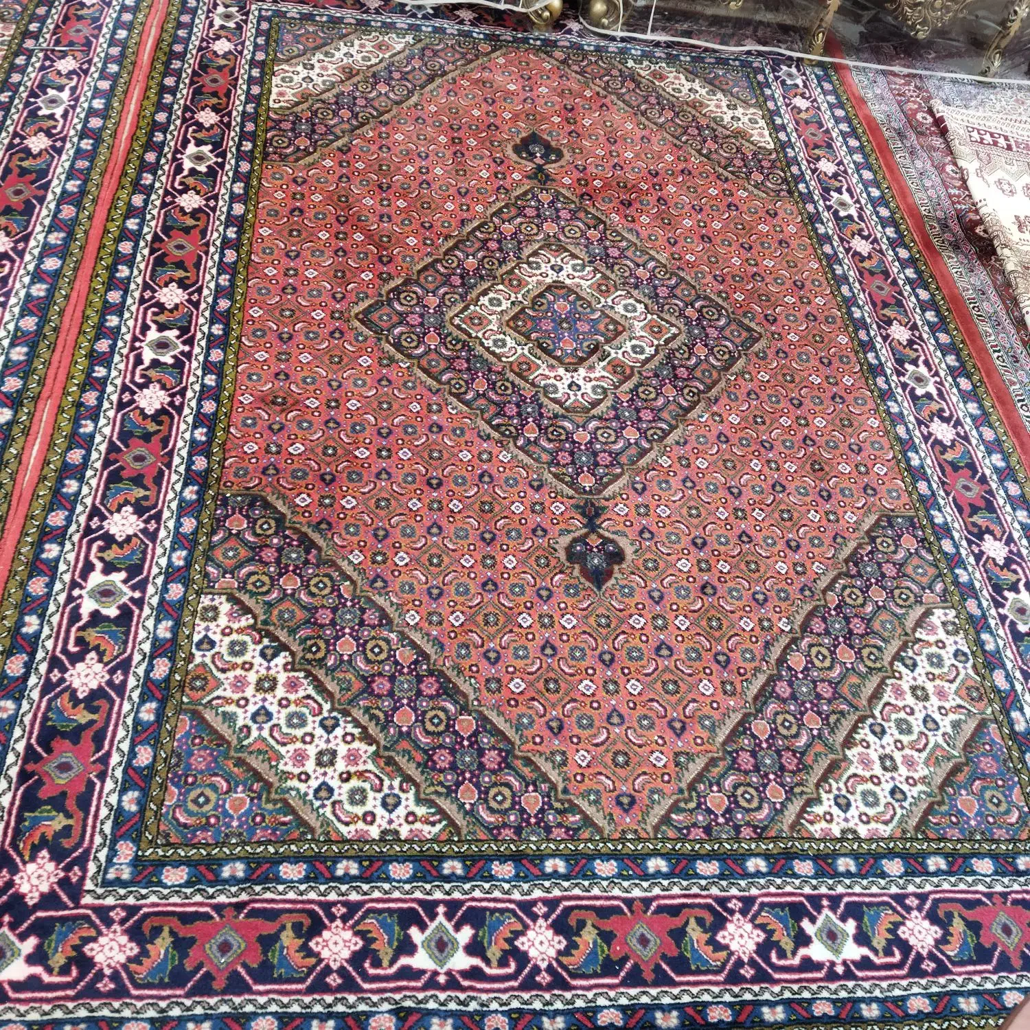 یک جفت فرش 6 متری دستبافت اردبیل|فرش|مشگین شهر, |دیوار